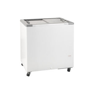 Profi-Gefrierschrank