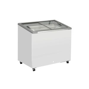 Profi-Gefrierschrank