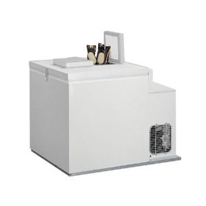tragbarer Gefrierschrank