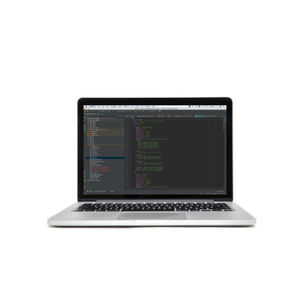 Überwachungssoftware