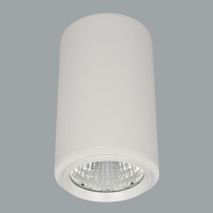 Downlight für Aufbau