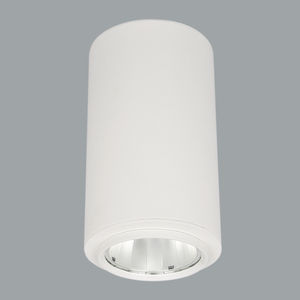 Downlight für Aufbau