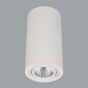 Downlight für Aufbau