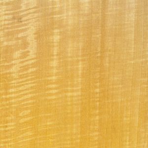 Holzfurnier