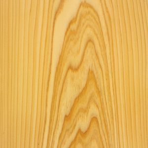 Holzfurnier