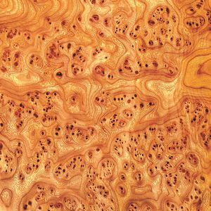Holzfurnier