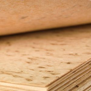 Holzfurnier