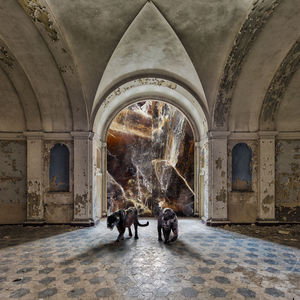 Dekorplatte für Decke