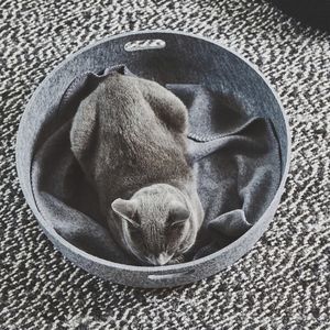 PET-Katzenkorb