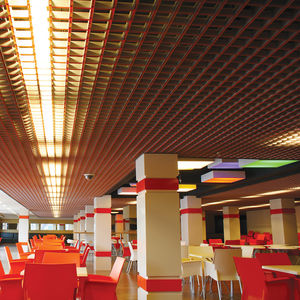 Abgehängte Decke / Aluminium