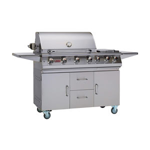 Gas-Gartengrill