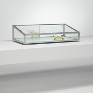 moderne Vitrine
