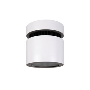 Downlight für Aufbau 1