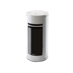 Wasserführender Kaminofen / Pellet