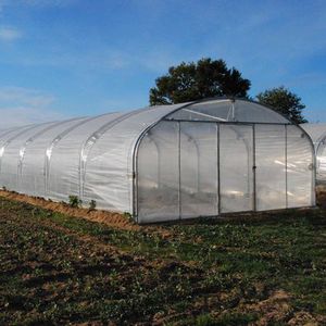 Gewächshaus für Gewerbegebrauch 1