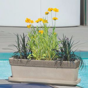 Terrakotta-Pflanzkübel 1
