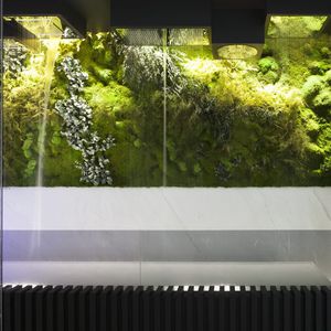 stabilisierte Wandbegrünung 1