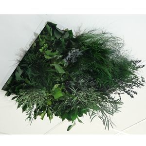 PET-Zwischendecke