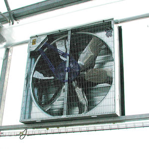 Ventilator für Abzug