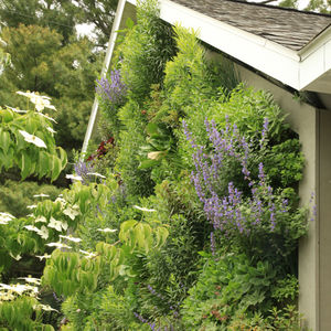 Vertikaler Garten / lebende Pflanzen - LiveWall - Außenbereich