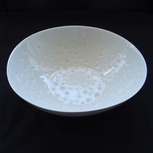 servierenschüssel aus Limoges-Porzellan