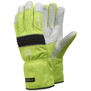 Handschuh