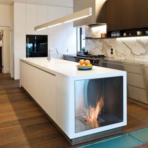 Bioethanol-Kamin / modern / geschlossene Feuerstelle / Einbau