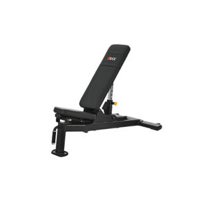 regelbare Krafttrainingsbank