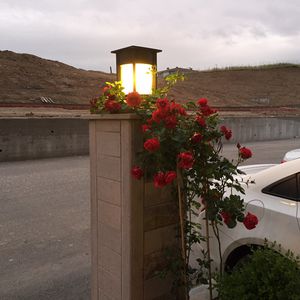 Leuchtpoller für Garten