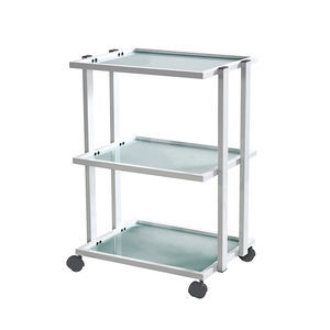Pflegewagen 1