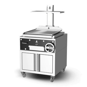 Holzkohlegrill