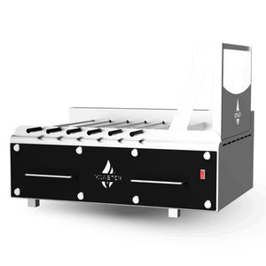 Holzkohlegrill 1