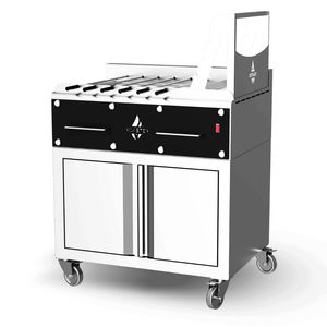 Holzkohlegrill 1