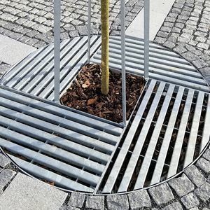 quadratisches Baumgitter 1