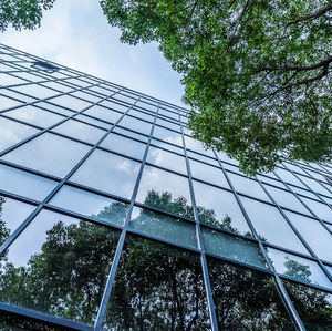 Sonnenschutzglasscheibe 1