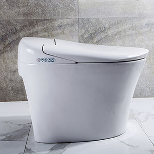 smartes WC