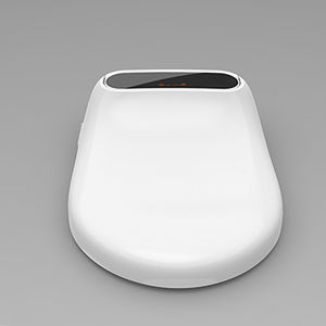 elektronischer Toilettensitz