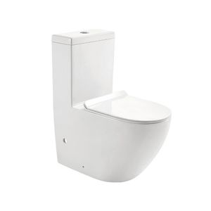 smartes WC