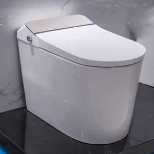 smartes WC