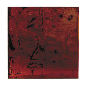 Acryl-Dekorplatte