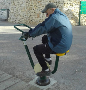 Heimtrainer