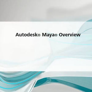 Software / Analyse und Simulation 1