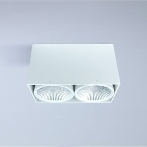 Downlight für Aufbau