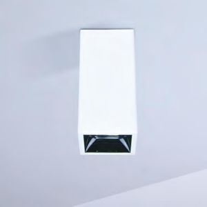 Downlight für Aufbau
