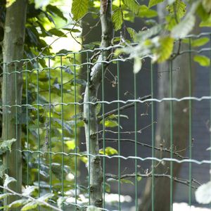 Zaun / geschweißter Maschendraht 1