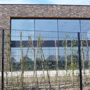 Zaun / geschweißter Maschendraht 1