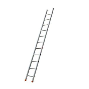 Professionelle Leiter / Arbeit