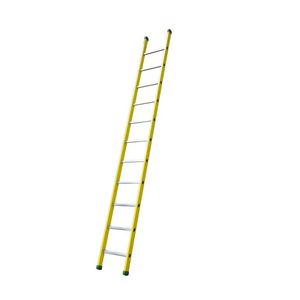 Professionelle Leiter / Arbeit