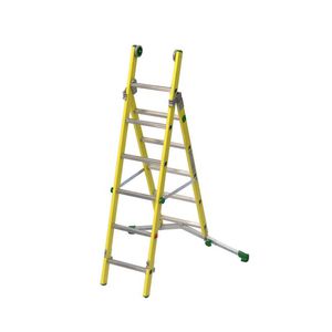 Professionelle Leiter / Arbeit