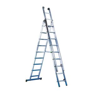 Professionelle Leiter / Arbeit